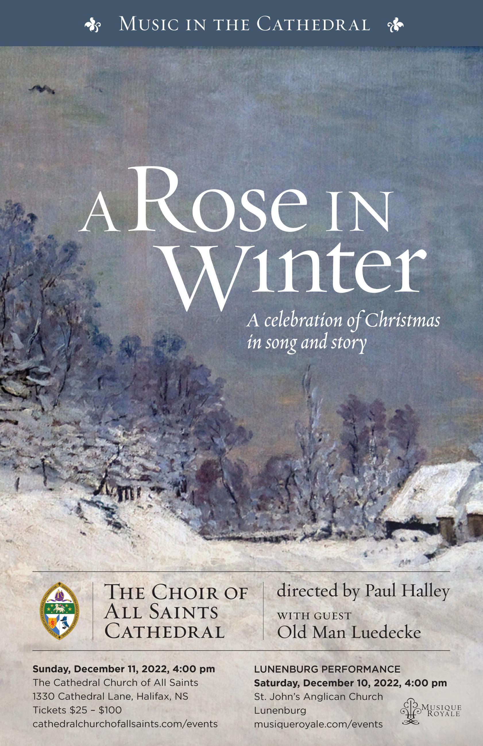 Poster A Rose In Winter 2022